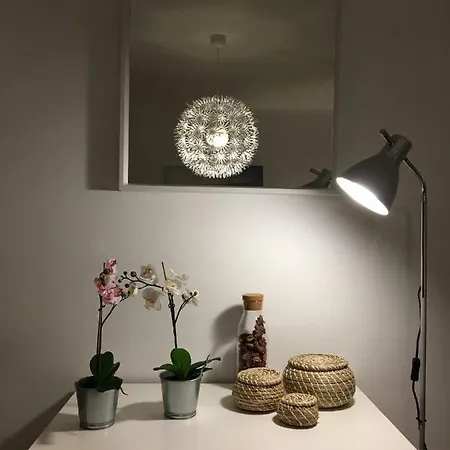 Apartment Azores Summer Rent Ponta Delgada (Sao Miguel)